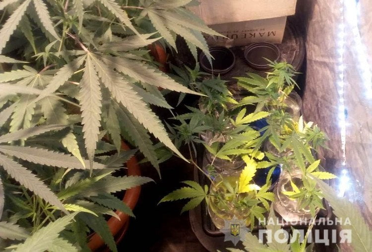 В Одессе задержали наркоторговца из Днепра В Одессе задержали наркоторговца из Днепра