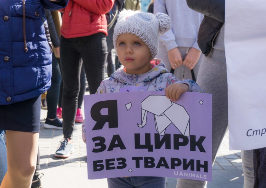 В Днепре прошел марш защиты животных - рис. 9