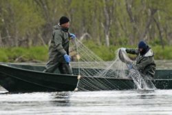 Водный патруль задержал рыбаков-браконьеров - рис. 2
