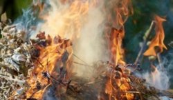 Экологи Днепра призывают не сжигать листья и мусор на улице: чем это вредит и есть ли альтернатива - рис. 10