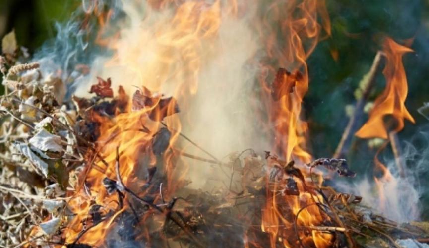 Экологи Днепра призывают не сжигать листья и мусор на улице: чем это вредит и есть ли альтернатива - рис. 1