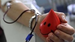 Врачи просят всех неравнодушных сдать кровь для маленьких пациентов из Днепра - рис. 1
