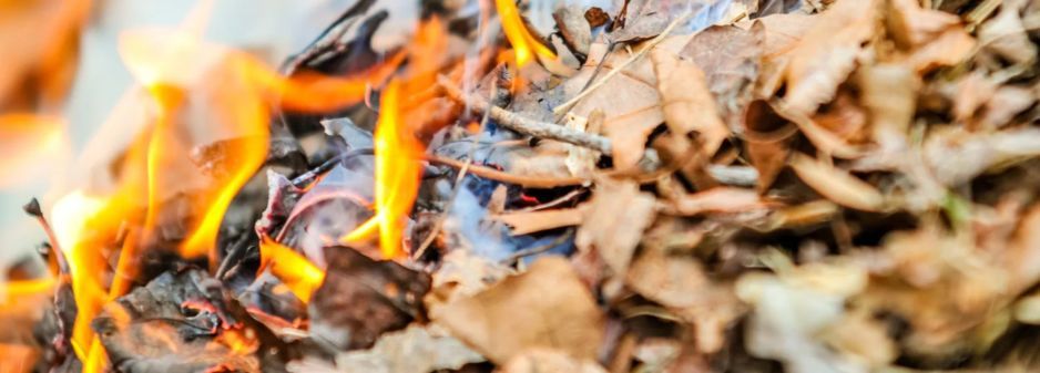 Спалювання листя несе смертельну небезпеку для здоров’я людей! - рис. 1