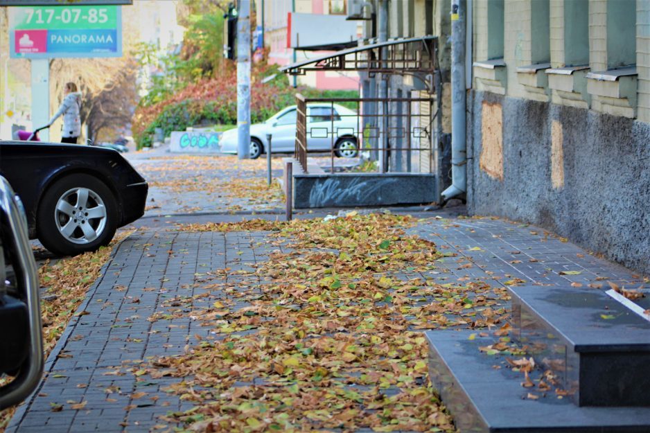 Опавшие листья заполонили тротуары Днепра - рис. 3