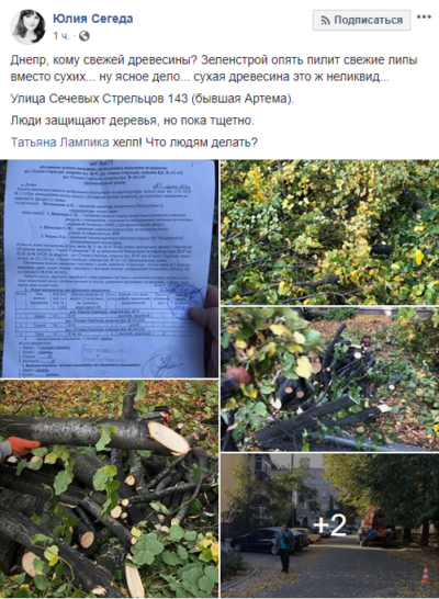 Кто стоит за вырубкой деревьев на улице Сечевых стрельцов - рис. 1