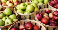 21 октября празднуется День яблока в Англии - рис. 13