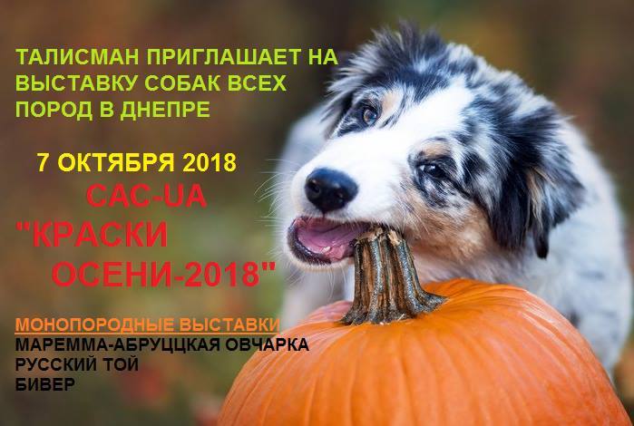 7 октября: куда бесплатно пойти - рис. 2