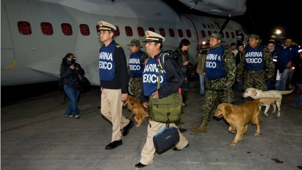 В Мексике опубликовали фото собак-героев - рис. 5
