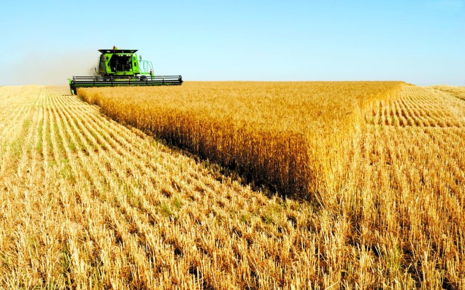 На Днепропетровщине отметили День работника сельского хозяйства - рис. 5