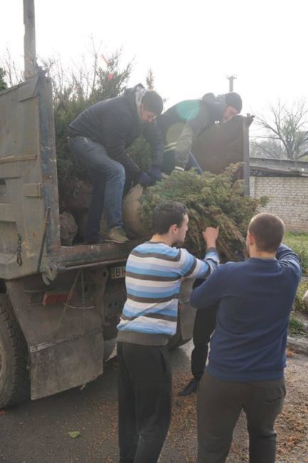 Активисты высадили деревья на месте уничтоженного школьного сквера - рис. 3