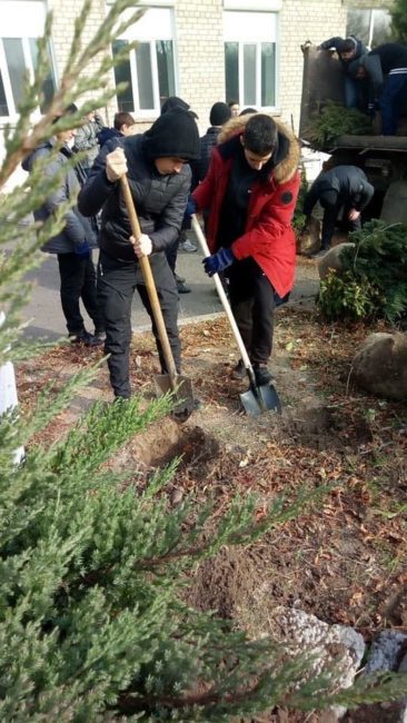 Активисты высадили деревья на месте уничтоженного школьного сквера - рис. 2