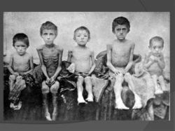 Голодомор — это геноцид украинского народа - рис. 17