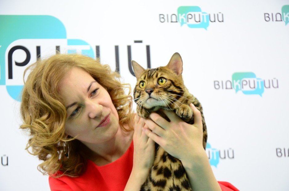 В Днепре открылась первая котейня «Cat House» - рис. 3