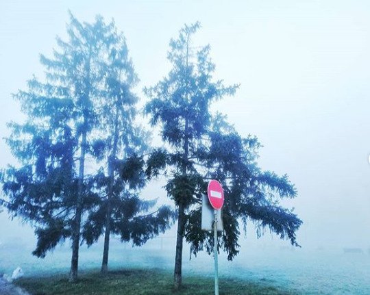 Завораживающее зрелище: туман в городе и области - рис. 6