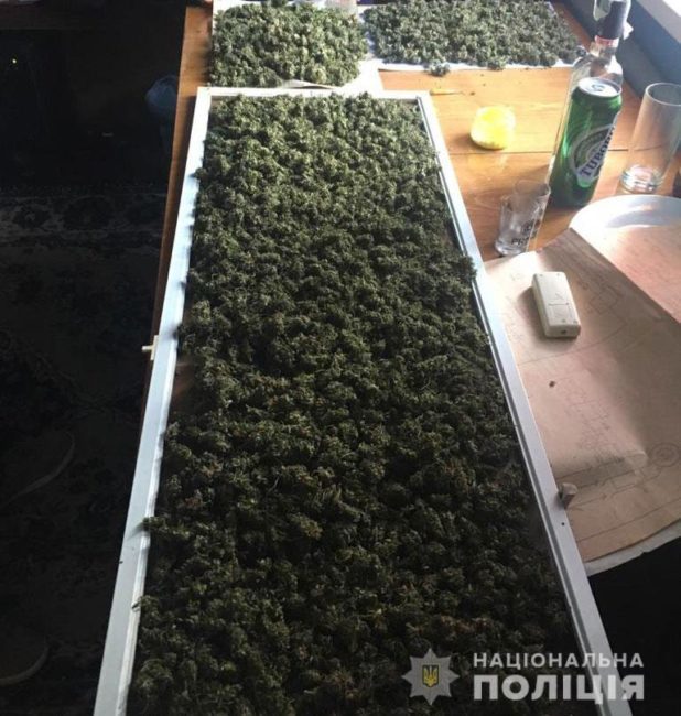 На Днепропетровщине правоохранители изъяли 750 пакетиков с расфасованной марихуаной - рис. 3