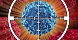 Клинические исследования и новые возможности лечения рака - рис. 22