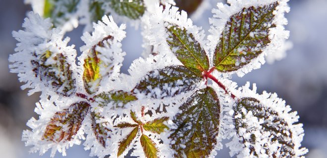 В Днепре штормовое предупреждение - рис. 1