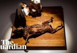 В Америке открылся музей отвратительной еды - рис. 14