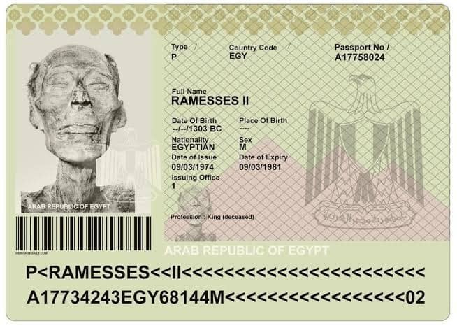 Заграничный паспорт для мумии: в Египте на умершего фараона оформили выездные документы - рис. 3