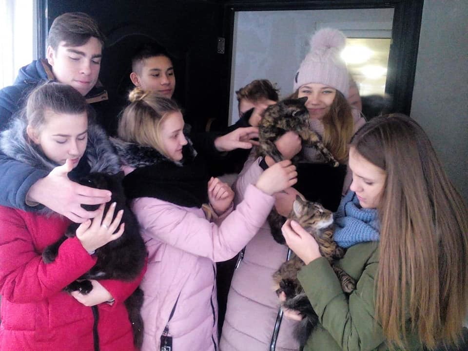 Школярі Дніпра змайстрували ліжка для безпритульних тварин - рис. 3
