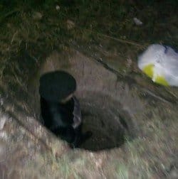Женщина провалилась в замаскированный люк - рис. 17