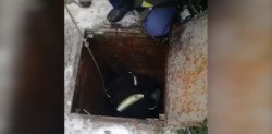 В Днепре спасатели достали человека из канализационного люка - рис. 2