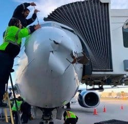 В Мексике самолёт столкнулся с дроном - рис. 11