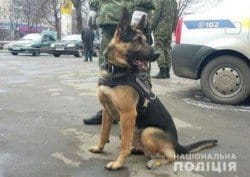 Криворожские правоохранители задержали псевдоминера воинской части - рис. 16