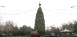 Праздник на пороге: в Днепре установили городскую ёлку - рис. 9