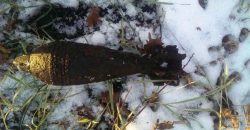 Мужчина нашел миномётную мину во время сбора дров - рис. 13