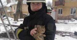 Спасатели Днепра сняли кота с дерева - рис. 18
