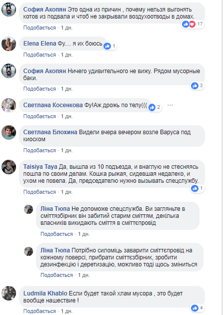На жилмассиве Каменский средь бела дня бегают крысы - рис. 1