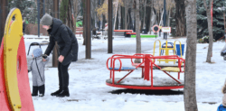 В Днепре на уход за деревьями выделят более 4 миллионов гривен - рис. 4