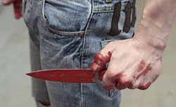 На Днепропетровщине мужчина, который зарезал своего сына, проведёт 7 лет за решеткой - рис. 14