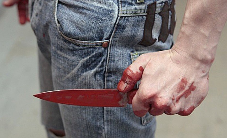 На Днепропетровщине мужчина, который зарезал своего сына, проведёт 7 лет за решеткой - рис. 1