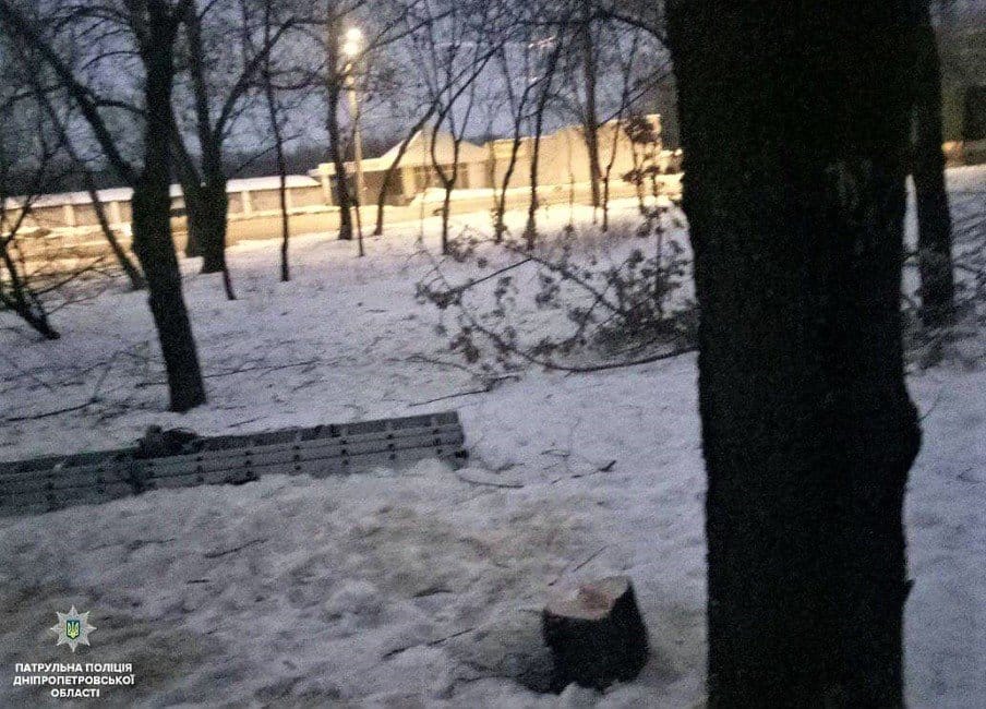 В Днепре сотрудники полиции поймали мужчин, которые незаконно вырубали деревья на Парусе - рис. 1