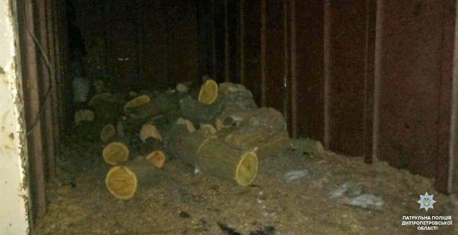 В Днепре сотрудники полиции поймали мужчин, которые незаконно вырубали деревья на Парусе - рис. 3