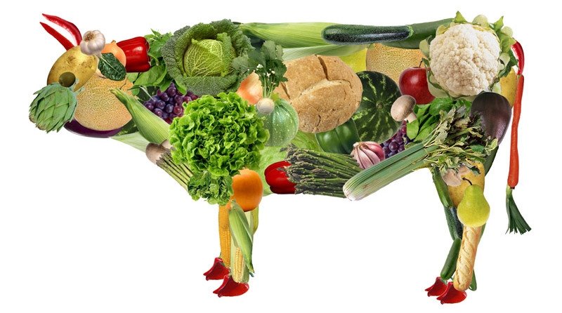 Вегетарианство: стоит ли отказываться от мяса - рис. 4