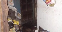 В Днепропетровской области при пожаре погибла женщина - рис. 4