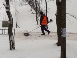 «Коси, Ваня, коси»: в Днепре креативний коммунальщик убирал снег газонокосилкой - рис. 9