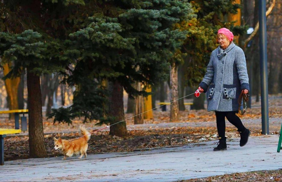 Картинка на прогулку выходи свежим воздухом дыши