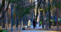 Прогулки улучшают настроение и повышают иммунитет, - врач из Днепра - рис. 8