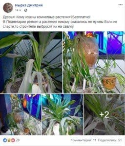 В днепровском планетарии от гибели спасают цветы - рис. 1