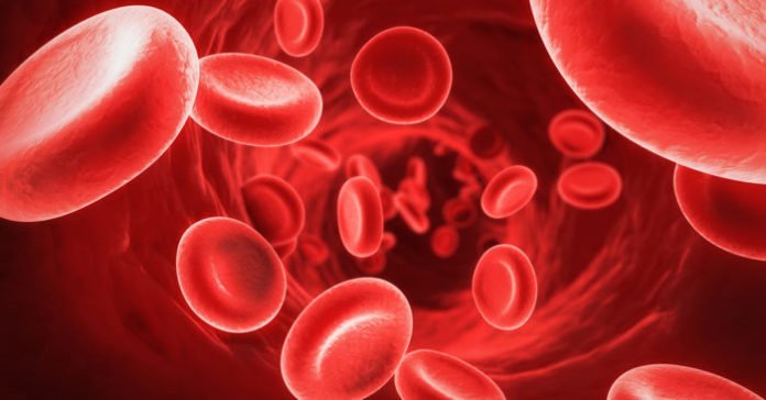 В Украине будут трансформировать национальную систему крови - рис. 1