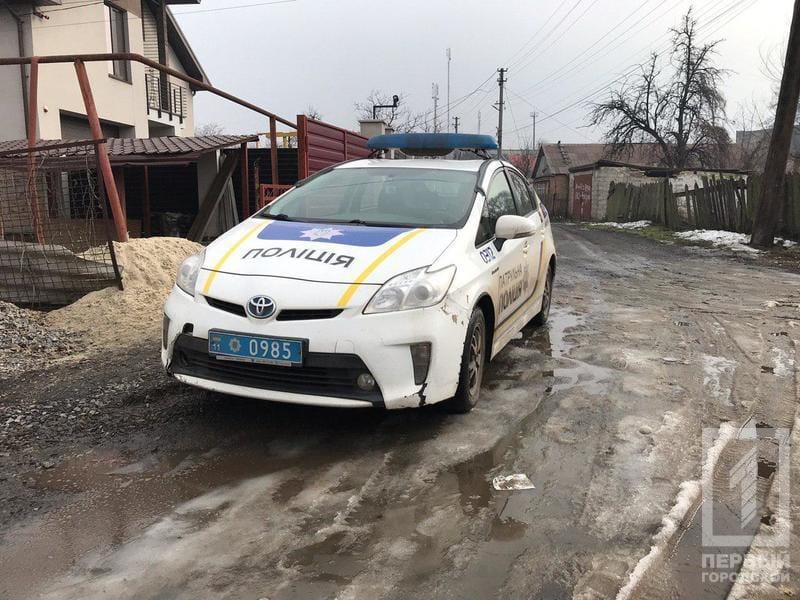 В Кривом Роге нашли труп мужчины, который обглодали собаки - рис. 1