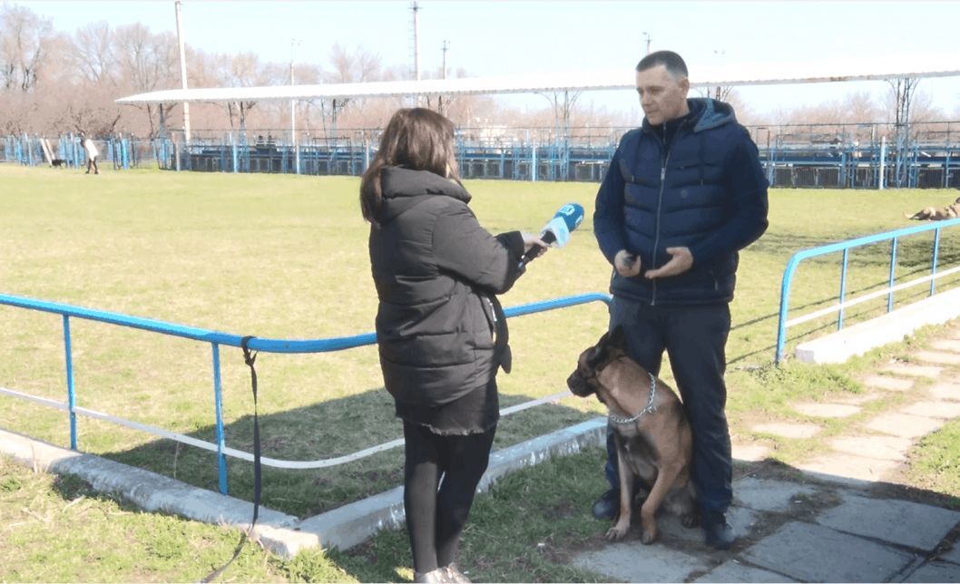 В Днепре прошел всеукраинский турнир «Dog Puller» среди собак - рис. 2