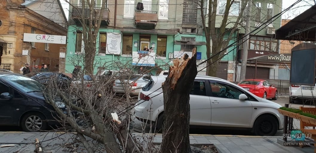 В центре Днепра дерево упало на проезжую часть: движение парализовано - рис. 9