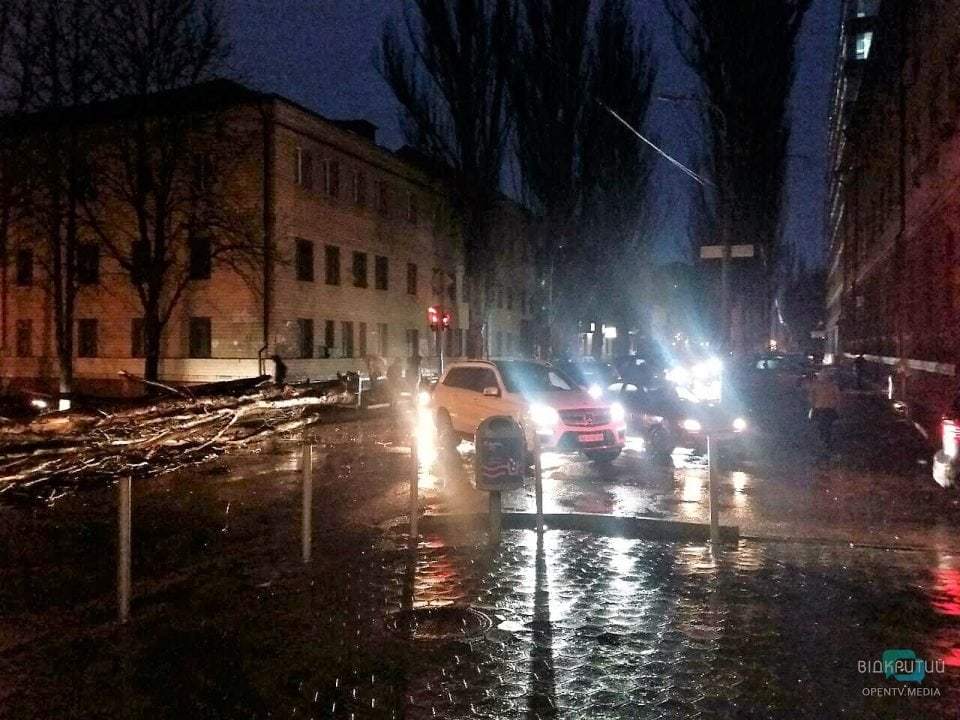 В Днепре на улице Гончара упало дерево: движение парализовано - рис. 9