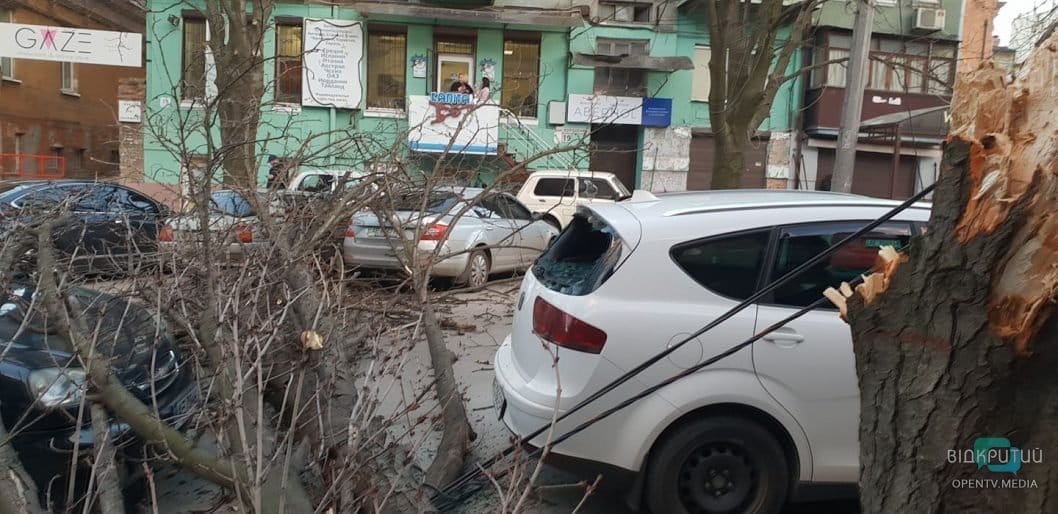 В центре Днепра дерево упало на проезжую часть: движение парализовано - рис. 3