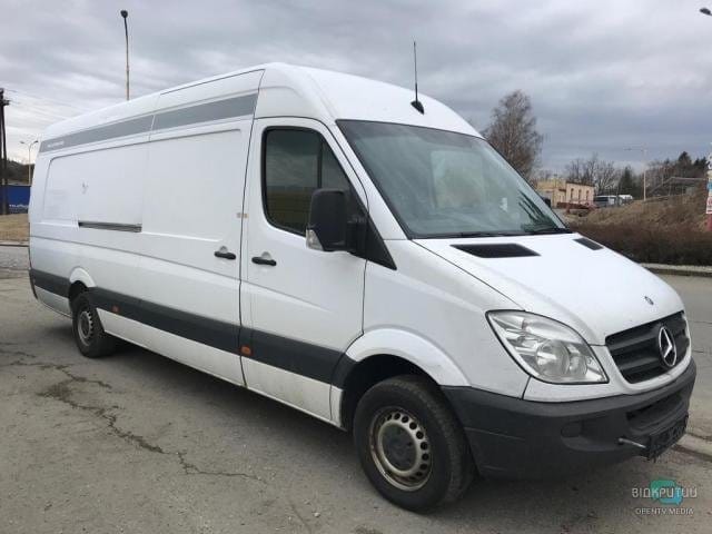 В Днепропетровской области ищут свидетелей смертельного ДТП с участием спринтера - рис. 13